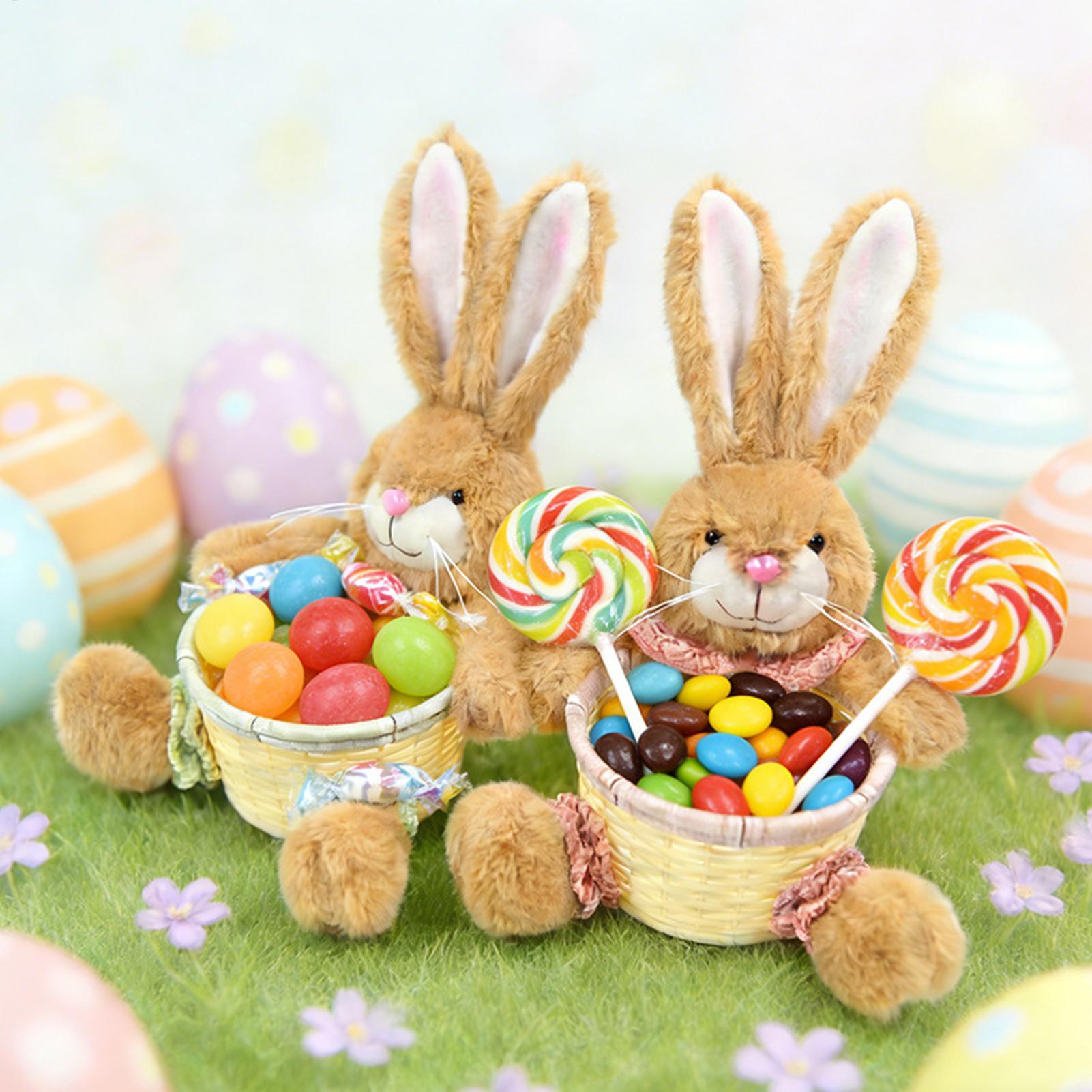 Easter Bunny Basket Rabbits Sh - Snacks Food Gift Baskets 评论和价格