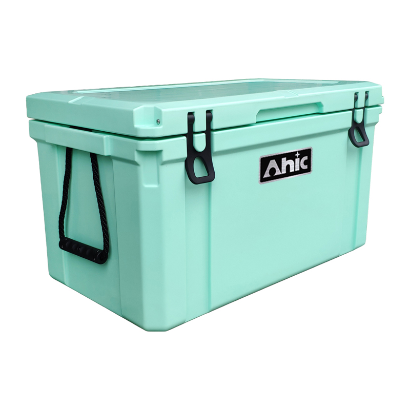 75L Insulated PE Ice Cooler Bo - Food & Snacks Coloring Book Bold & Easy 评论和价格