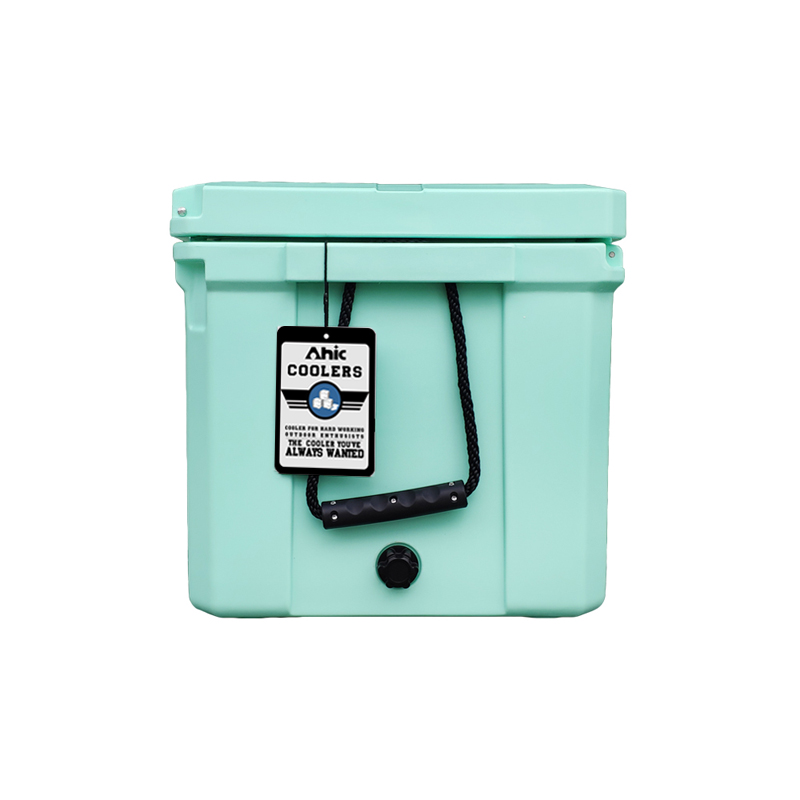 75L Insulated PE Ice Cooler Bo - Food & Snacks Coloring Book Bold & Easy 评论和价格